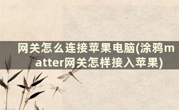 网关怎么连接苹果电脑(涂鸦matter网关怎样接入苹果)