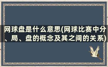 网球盘是什么意思(网球比赛中分、局、盘的概念及其之间的关系)