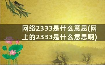 网络2333是什么意思(网上的2333是什么意思啊)