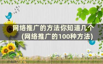 网络推广的方法你知道几个(网络推广的100种方法)