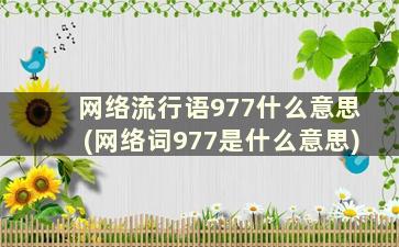 网络流行语977什么意思(网络词977是什么意思)