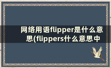 网络用语flipper是什么意思(flippers什么意思中文)