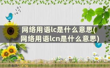 网络用语lc是什么意思(网络用语lcn是什么意思)