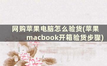 网购苹果电脑怎么验货(苹果macbook开箱验货步骤)