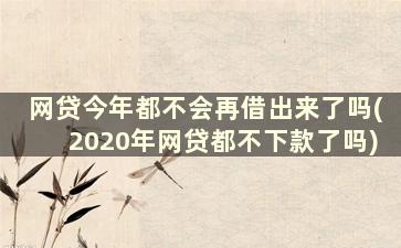 网贷今年都不会再借出来了吗(2020年网贷都不下款了吗)