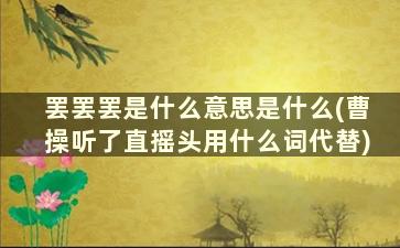 罢罢罢是什么意思是什么(曹操听了直摇头用什么词代替)