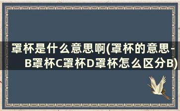 罩杯是什么意思啊(罩杯的意思-B罩杯C罩杯D罩杯怎么区分B)