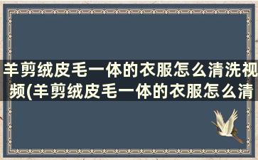 羊剪绒皮毛一体的衣服怎么清洗视频(羊剪绒皮毛一体的衣服怎么清洗自己在家怎么洗)