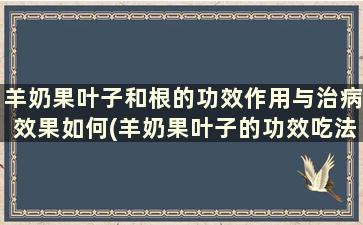 羊奶果叶子和根的功效作用与治病效果如何(羊奶果叶子的功效吃法)