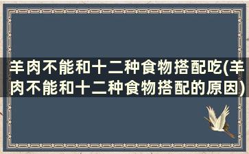 羊肉不能和十二种食物搭配吃(羊肉不能和十二种食物搭配的原因)