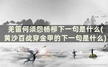 羌笛何须怨杨柳下一句是什么(黄沙百战穿金甲的下一句是什么)