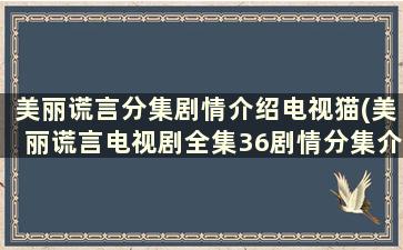 美丽谎言分集剧情介绍电视猫(美丽谎言电视剧全集36剧情分集介绍)