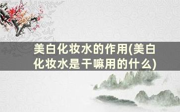 美白化妆水的作用(美白化妆水是干嘛用的什么)