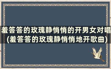 羞答答的玫瑰静悄悄的开男女对唱(羞答答的玫瑰静悄悄地开歌曲)