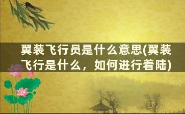 翼装飞行员是什么意思(翼装飞行是什么，如何进行着陆)