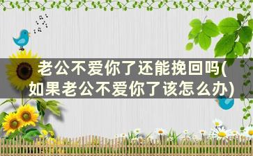 老公不爱你了还能挽回吗(如果老公不爱你了该怎么办)