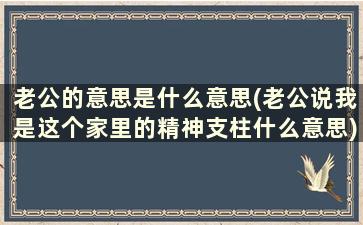 老公的意思是什么意思(老公说我是这个家里的精神支柱什么意思)