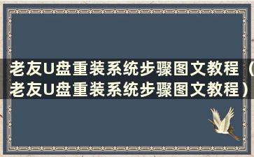 老友U盘重装系统步骤图文教程（老友U盘重装系统步骤图文教程）