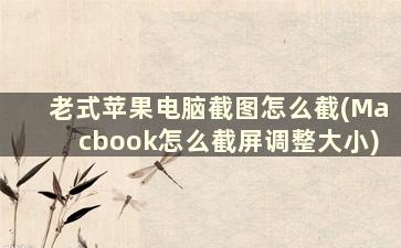 老式苹果电脑截图怎么截(Macbook怎么截屏调整大小)