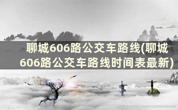 聊城606路公交车路线(聊城606路公交车路线时间表最新)