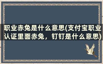 职业赤兔是什么意思(支付宝职业认证里面赤兔，钉钉是什么意思)