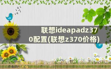 联想ideapadz370配置(联想z370价格)