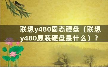 联想y480固态硬盘（联想y480原装硬盘是什么）？