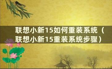 联想小新15如何重装系统（联想小新15重装系统步骤）