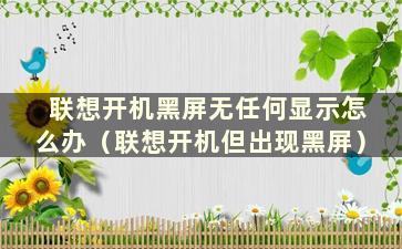 联想开机黑屏无任何显示怎么办（联想开机但出现黑屏）