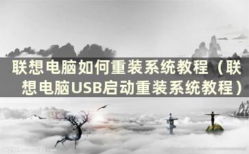 联想电脑如何重装系统教程（联想电脑USB启动重装系统教程）