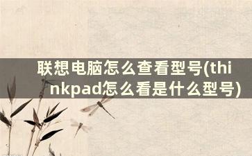 联想电脑怎么查看型号(thinkpad怎么看是什么型号)