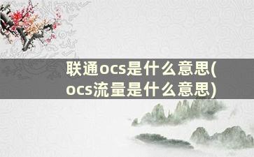 联通ocs是什么意思(ocs流量是什么意思)