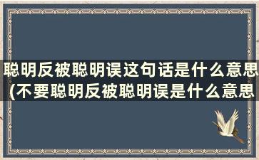 聪明反被聪明误这句话是什么意思(不要聪明反被聪明误是什么意思)