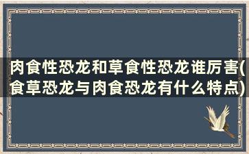 肉食性恐龙和草食性恐龙谁厉害(食草恐龙与肉食恐龙有什么特点)