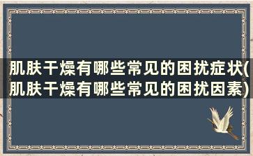 肌肤干燥有哪些常见的困扰症状(肌肤干燥有哪些常见的困扰因素)