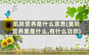 肌肤营养是什么意思(美肤营养素是什么,有什么功效)