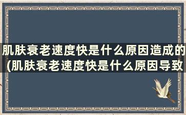 肌肤衰老速度快是什么原因造成的(肌肤衰老速度快是什么原因导致的)