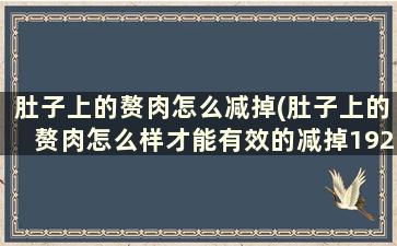 肚子上的赘肉怎么减掉(肚子上的赘肉怎么样才能有效的减掉192.168.0.1)