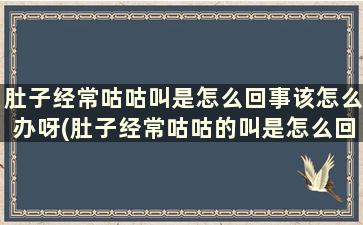 肚子经常咕咕叫是怎么回事该怎么办呀(肚子经常咕咕的叫是怎么回事)