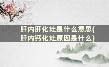 肝内肝化灶是什么意思(肝内钙化灶原因是什么)