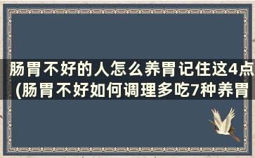 肠胃不好的人怎么养胃记住这4点(肠胃不好如何调理多吃7种养胃食物)