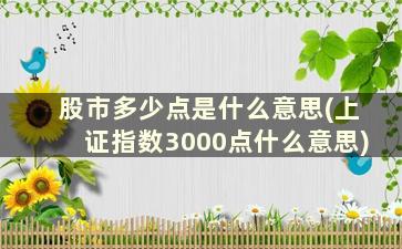 股市多少点是什么意思(上证指数3000点什么意思)