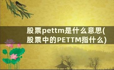 股票pettm是什么意思(股票中的PETTM指什么)