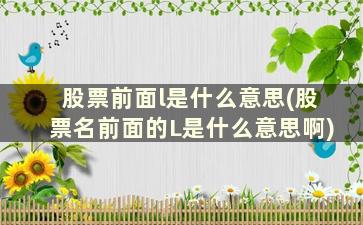 股票前面l是什么意思(股票名前面的L是什么意思啊)