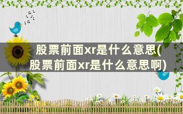 股票前面xr是什么意思(股票前面xr是什么意思啊)