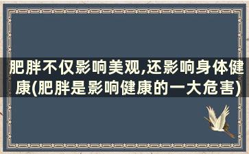 肥胖不仅影响美观,还影响身体健康(肥胖是影响健康的一大危害)