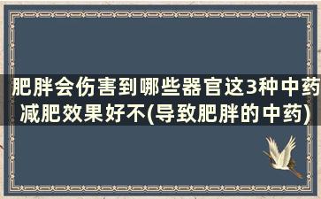 肥胖会伤害到哪些器官这3种中药减肥效果好不(导致肥胖的中药)