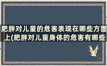 肥胖对儿童的危害表现在哪些方面上(肥胖对儿童身体的危害有哪些)