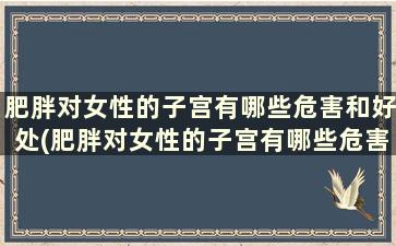 肥胖对女性的子宫有哪些危害和好处(肥胖对女性的子宫有哪些危害和影响)