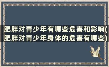 肥胖对青少年有哪些危害和影响(肥胖对青少年身体的危害有哪些)